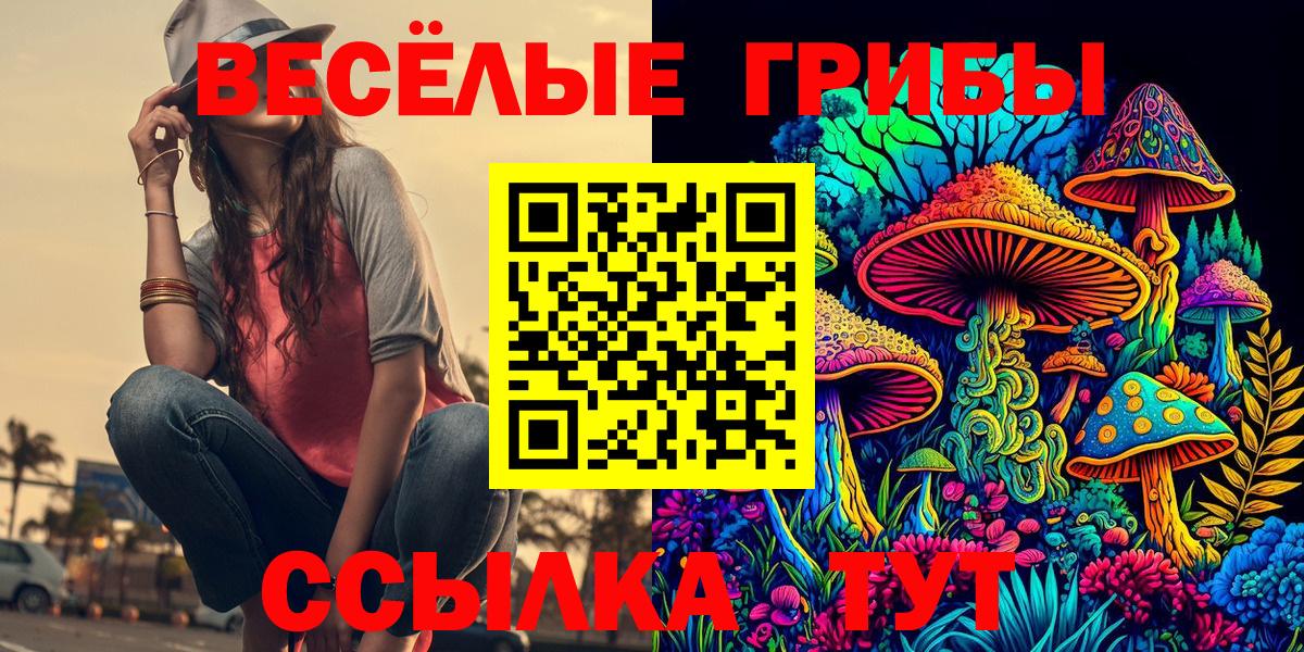 Галлюциногенные грибы MAGIC MUSHROOMS  магазин  наркотиков  Михайловск  Вход с VPN 